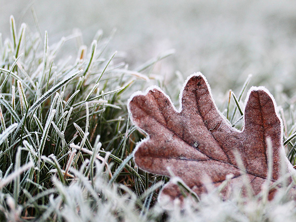 瞬時(shí)低溫4℃處理