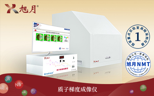 Gradraw?質(zhì)子梯度成像儀