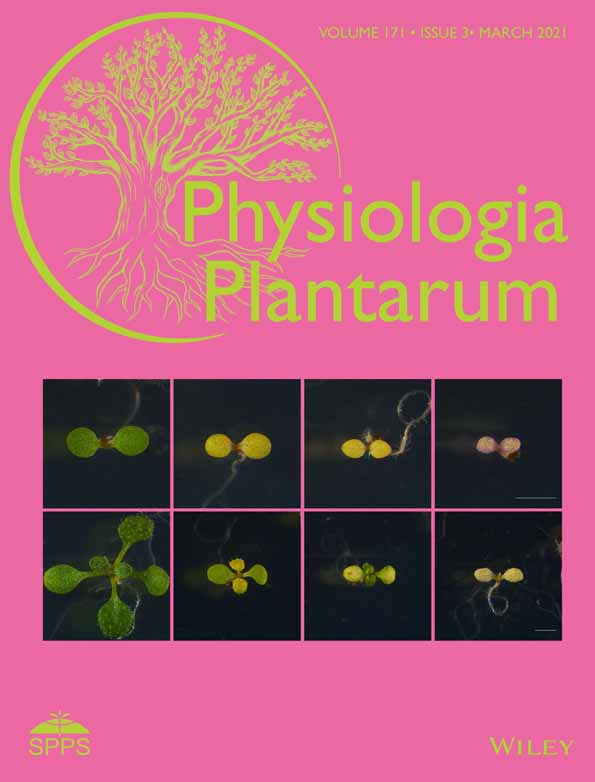 Physiol Plantarum內(nèi)大王迎春：NMT發(fā)現(xiàn)外源MeJA可促白刺根排Na+降低Na/K比緩解鹽脅迫
