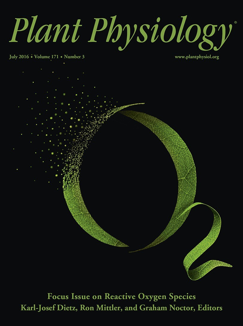 Plant Physiol ：山東大學(xué)、山東省農(nóng)科院丨線粒體丙酮酸載體調(diào)控植物耐鎘的機(jī)理（附NMT實(shí)驗體系）