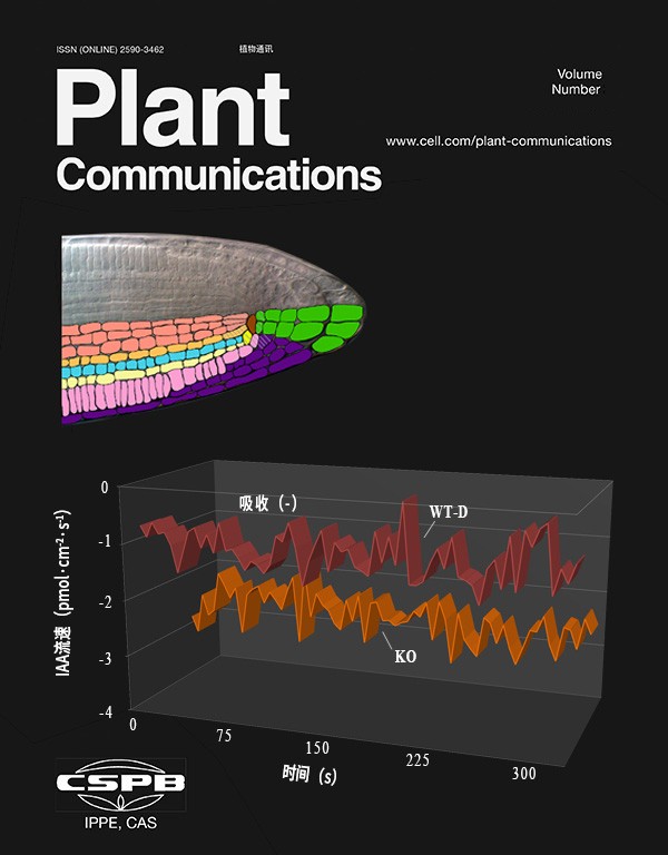 NMT監(jiān)測(cè)IAA流動(dòng)證實(shí)OsHAK5調(diào)節(jié)生長(zhǎng)素運(yùn)輸調(diào)控水稻株型