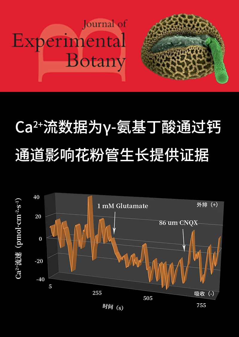 Ca2+流數(shù)據(jù)為γ-氨基丁酸通過(guò)鈣通道影響花粉管生長(zhǎng)提供證據(jù)