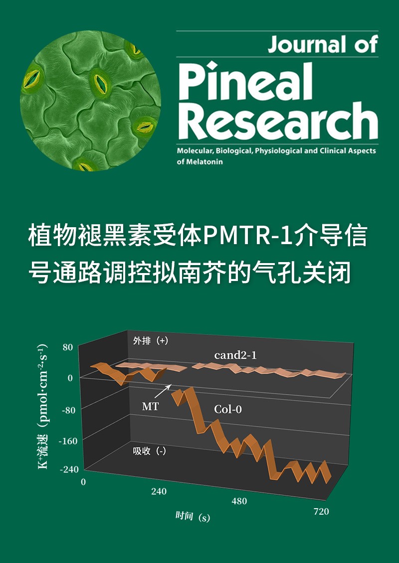 植物褪黑素受體PMTR-1介導信號通路調控擬南芥的氣孔關閉