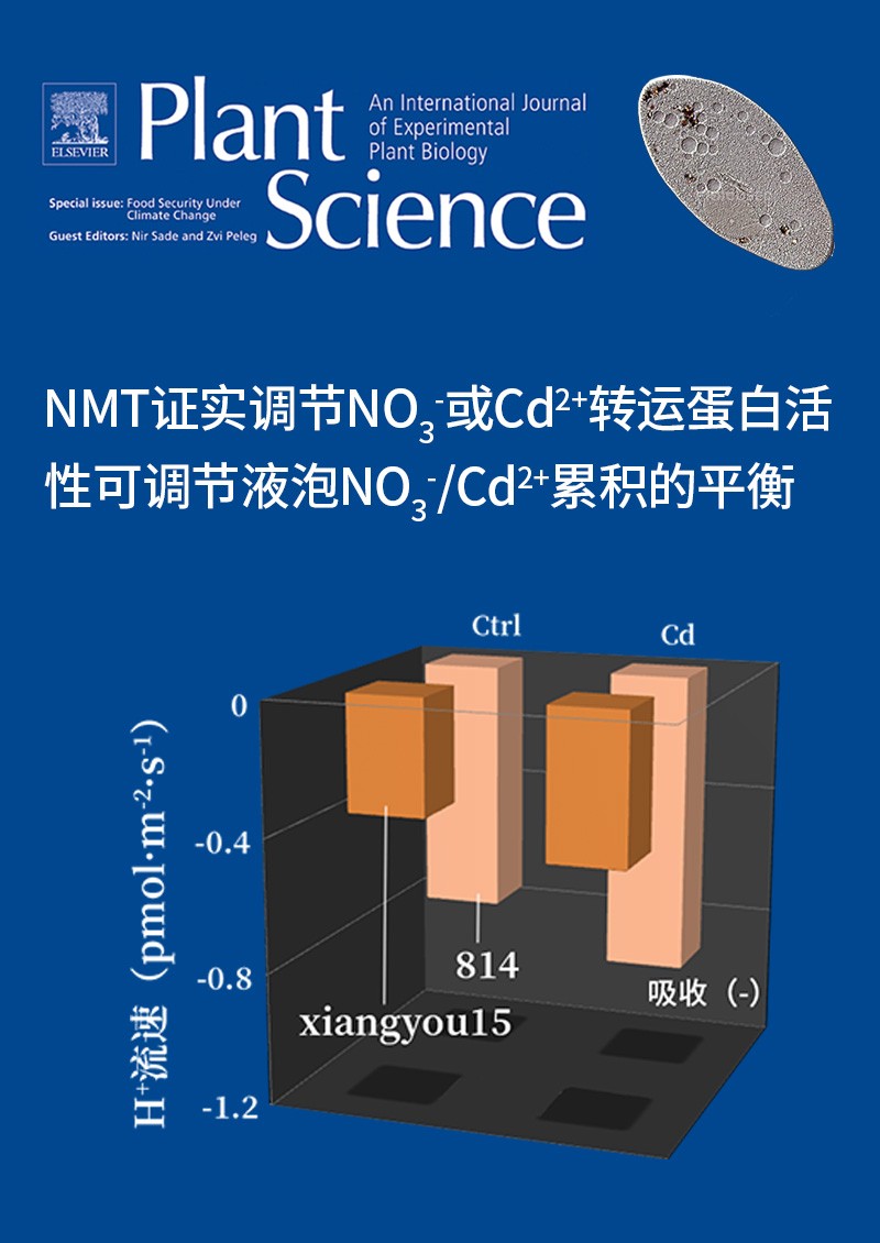 NMT證實調節(jié)NO3-或Cd2+轉運蛋白活性可調節(jié)液泡NO3-/ Cd2+累積的平衡
