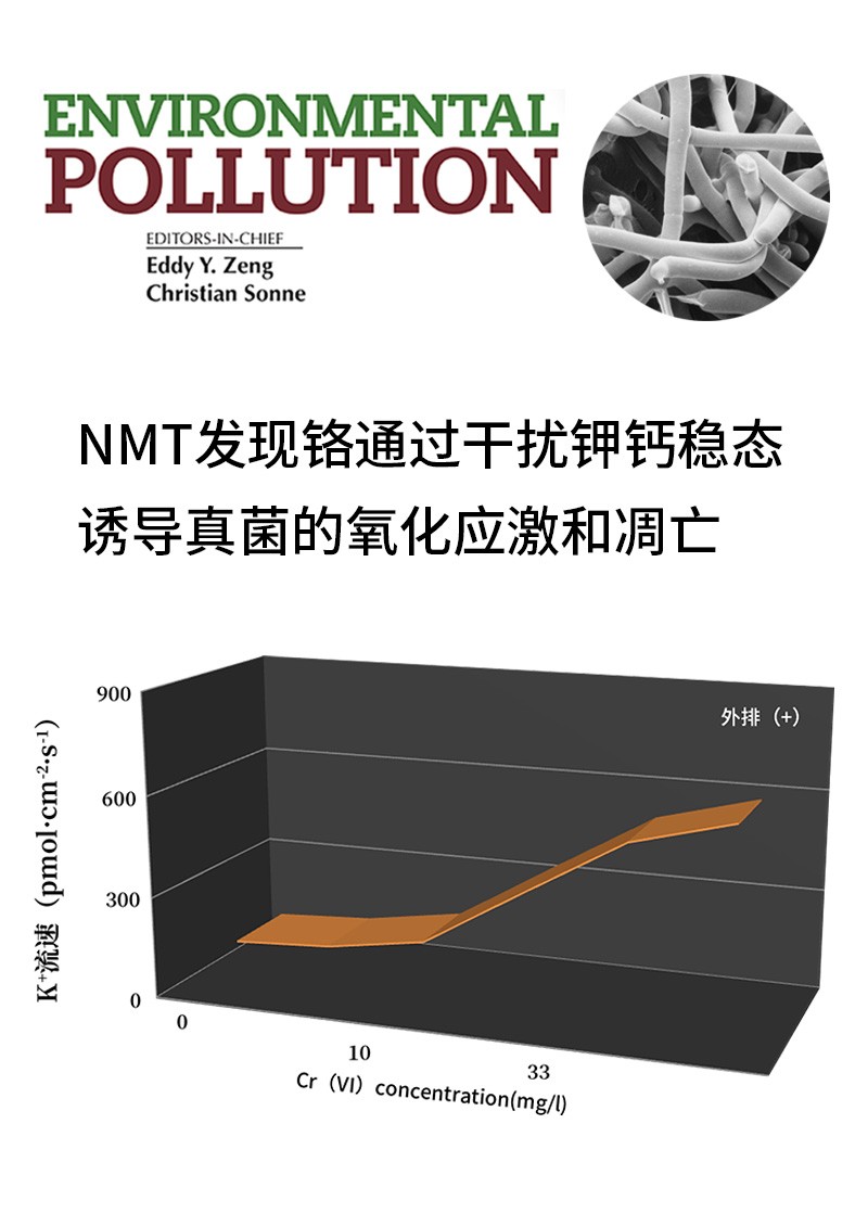 NMT發(fā)現(xiàn)鉻通過干擾鉀鈣穩(wěn)態(tài)誘導真菌的氧化應激和凋亡