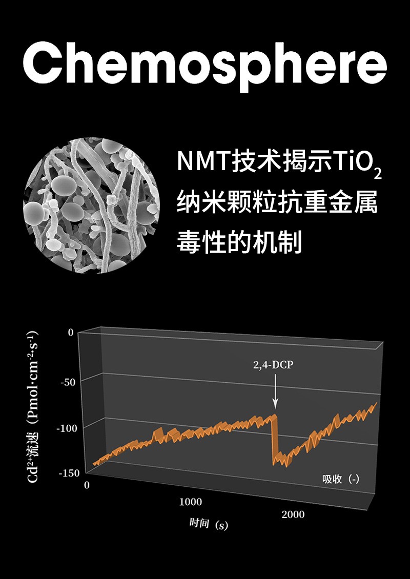 NMT技術揭示TiO2納米顆粒抗重金屬毒性的機制