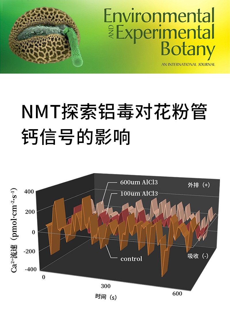 NMT探索鋁毒對花粉管鈣信號的影響
