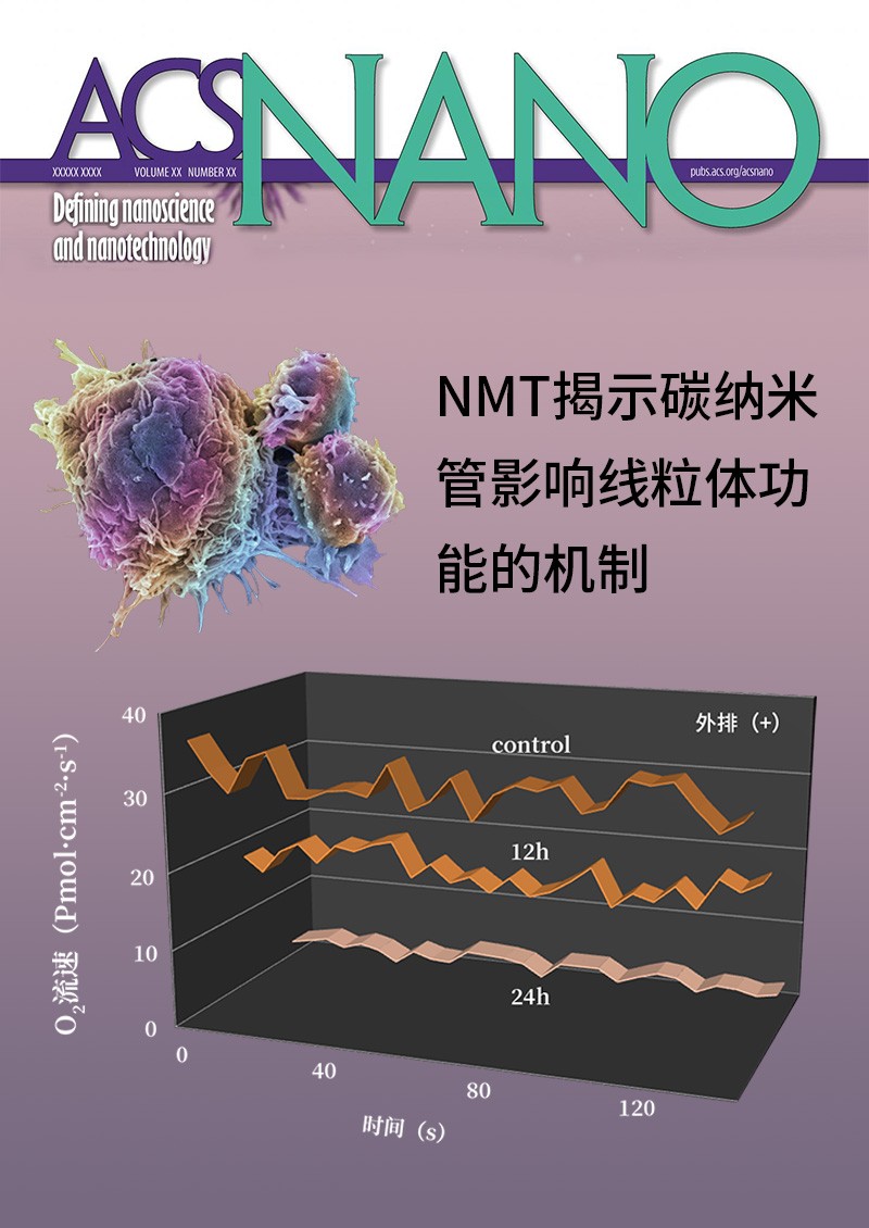 NMT揭示碳納米管影響線粒體功能的機制