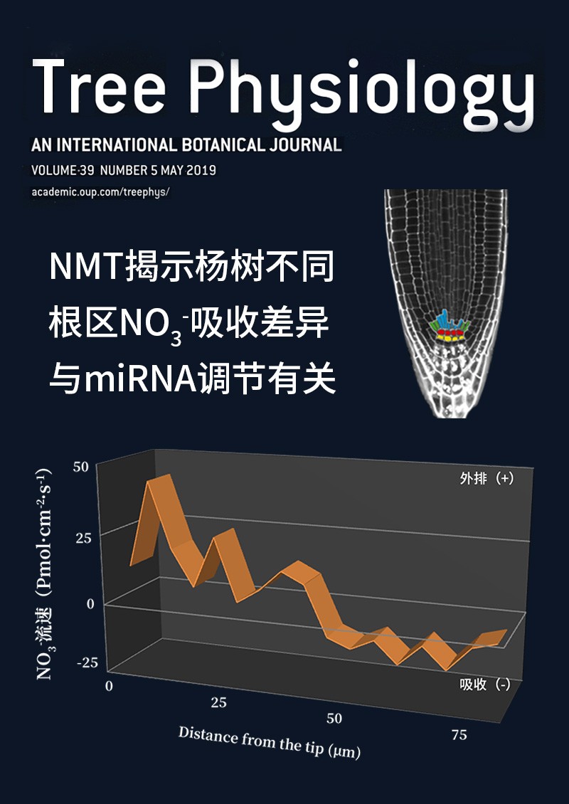 NMT揭示楊樹不同根區(qū)NO3-吸收差異與miRNA調節(jié)有關