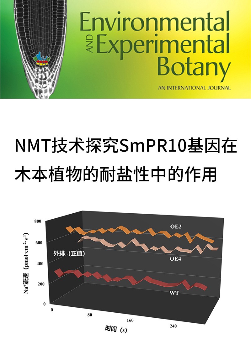 NMT技術探究SmPR10基因在木本植物的耐鹽性中的作用