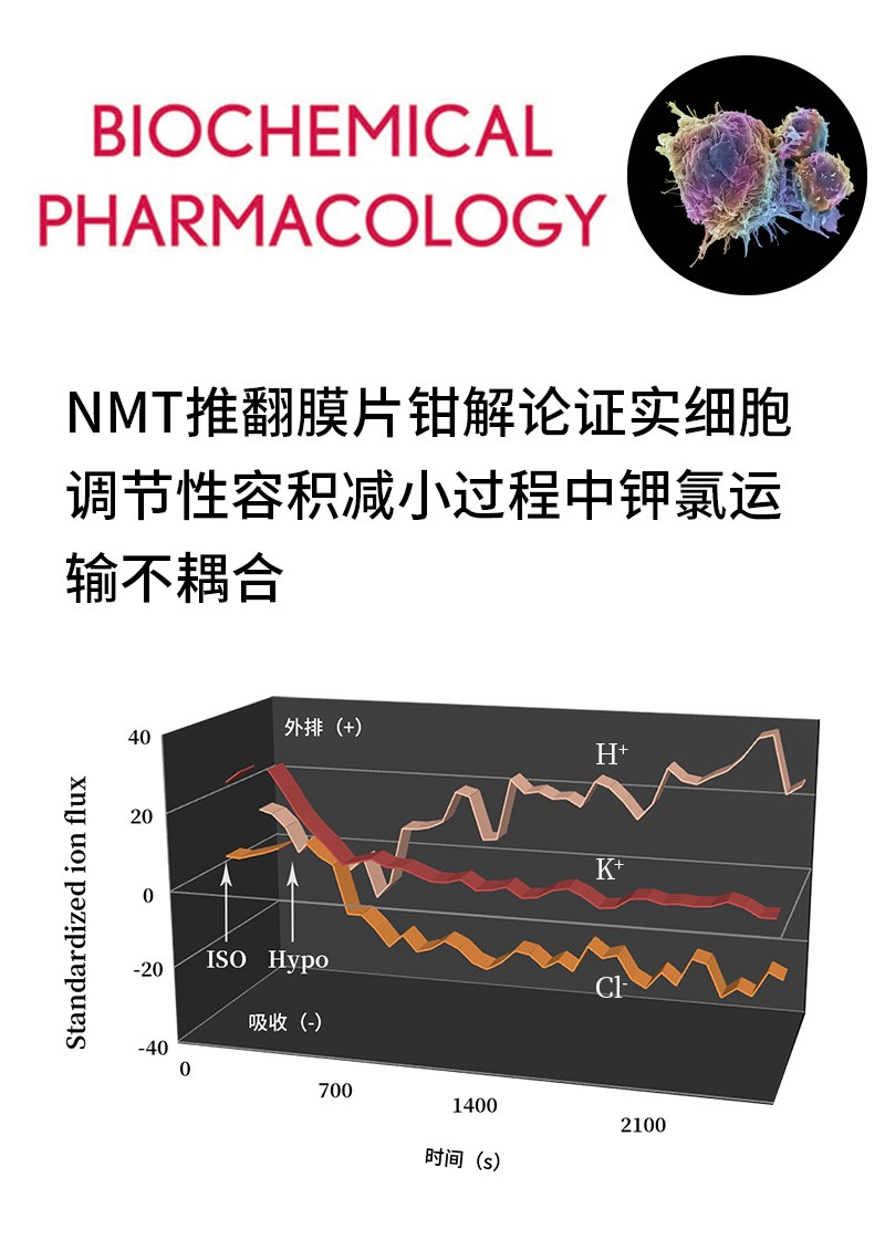 NMT推翻膜片鉗解論證實(shí)細(xì)胞調(diào)節(jié)性容積減小過(guò)程中鉀氯運(yùn)輸不耦合