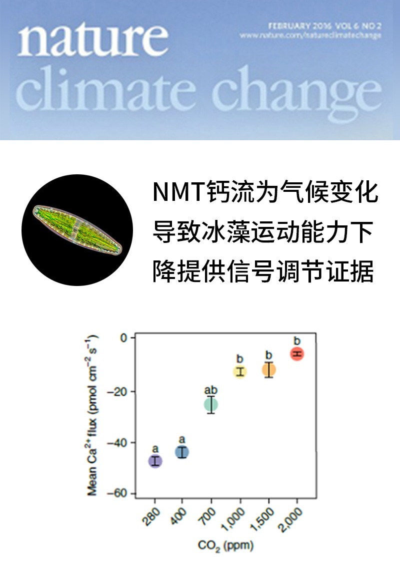 NMT鈣流為氣候變化導致冰藻運動能力下降提供信號調節(jié)證據(jù)